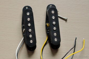 Washburn - 4