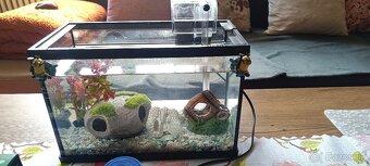 Akvarium - 4
