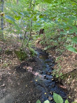 Rekreačná chata Tuhárska Dolina - 4