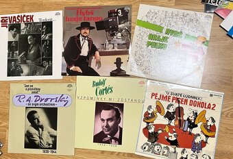 Zbierka LP vinylových platní československé nemecké 53 kusov - 4