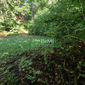 Rekreačný pozemok v Tajove na predaj ID: 015-14-STKa - 4