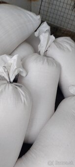 Kukuricu a psenicu predam - 4