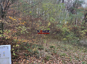 Rekreačný pozemok na výstavbu chaty blízko Vranova nad Topľo - 4