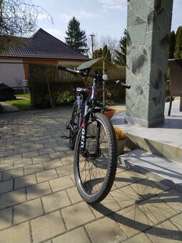 Dema Junior veľ. 26 Hardtail - 4