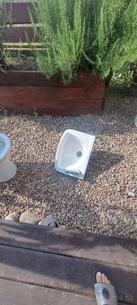 Wc misa a umývadlo DARUJEM - 4