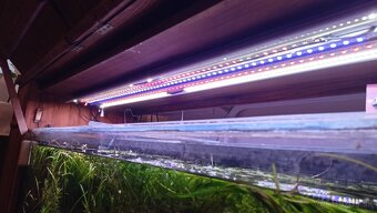 Akvárium so skrinkou - 4