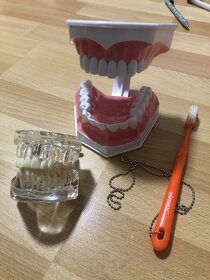 Knihy a nástroje dentálna hygiena - 4