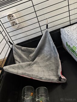 Starter pack - morčatá, zajace - 4