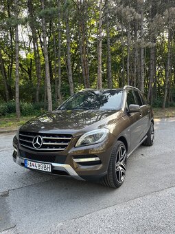 Mercedes ml350 bluetec - 4