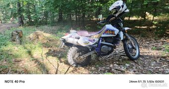 Suzuki DR 650 SE - 4