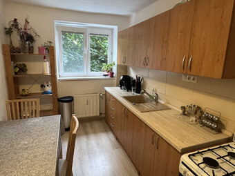 2-izb Tehlový STARÉ MESTO- JILEMNICKÉHO, OV, 60m2 - 4