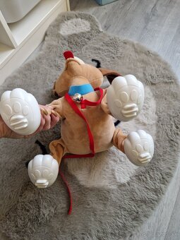 Predám psíka Floppy - 4