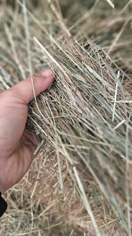 Seno pre domácich miláčikov - 4