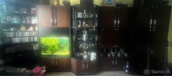 Predám akvarium - 4