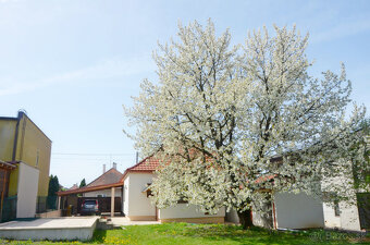 Predaj - rodinný dom - Zlaté Moravce - 4