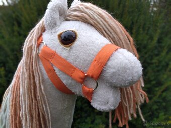 Hobby horse - 4