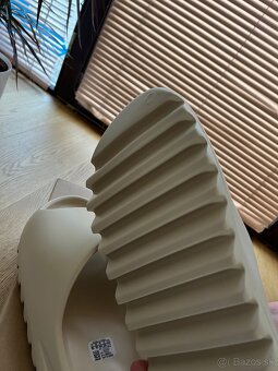 Bone - 4