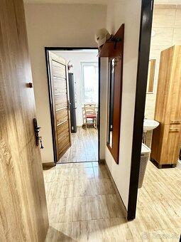 Prenájom 1 izbový byt - 4