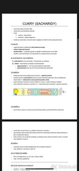 Poklady na LF UPJŠ v KE - 4