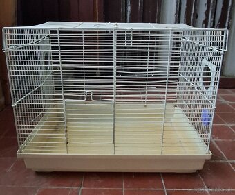 Darujem potkany + klietka - 4