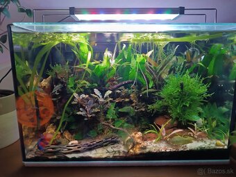 Twinstar 30B line B II 30-50 cm RGB-W - 4