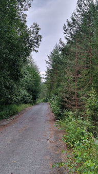 Predaj pozemkov nad Turzovskými kúpeľmi, okres Gelnica - 4