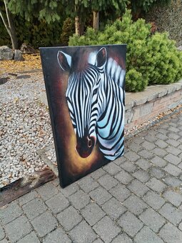 Obraz zebra - 4