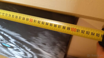 Predám obraz tigra tlac na platne. - 4