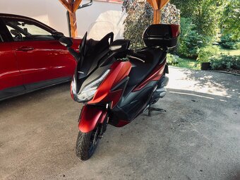 Honda Forza 125 - 4