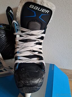 Bauer XLP 12.0 YTH,31 - 4