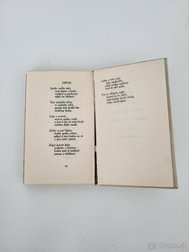 Brixenské básne Karel Havlíček Borovský 1913 - 4