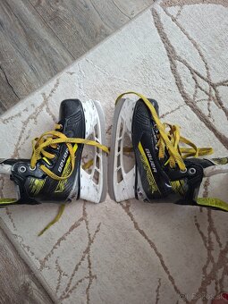 Korcule bauer vapor x4 - 4