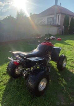 Yamaha Warrior 350 - 4
