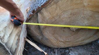 Lipove drevo kmene - 4