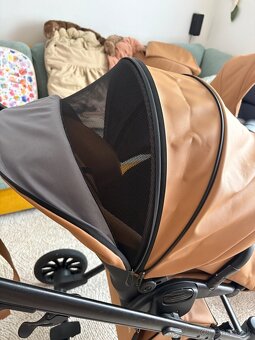 Krásny kočik Anex ETYPE Caramel - 4