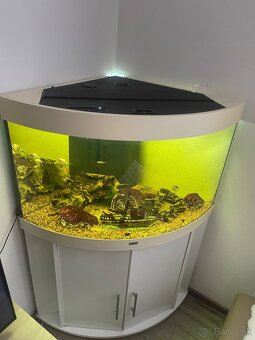 Predam rohové akvárium Juwel 190l - 4