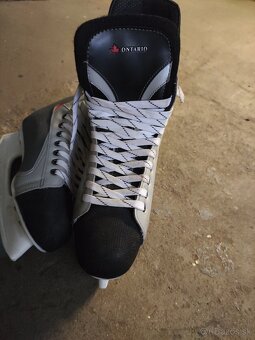 Brusle Ontario 43 - 4