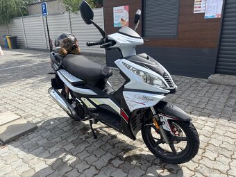 MAXON SKUTER 125 2019 - 4