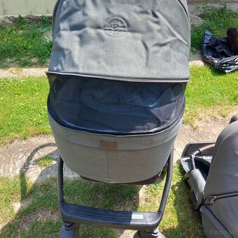 Kocik green roan coss - 4