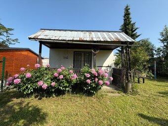 Záhrada v Spišskej Novej Vsi - 4