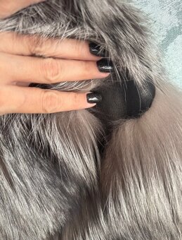 Vesta z pravej lisky - 4