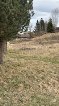NA PREDAJ: 5x STAVEBNÉ POZEMKY BREZNO TISOVSKÁ CESTA - 4