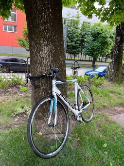 Bianchi Via Nirone 7 - 4