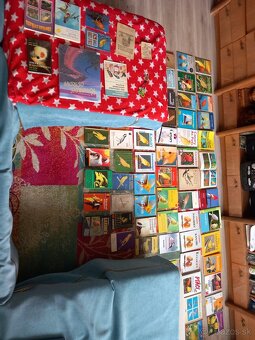 Predám knihy o kanárikoch - 4