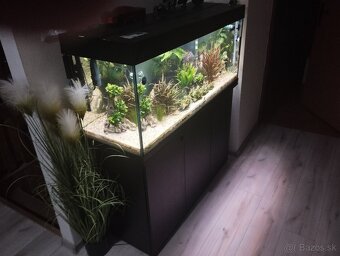 Predam jewelriio 240l - 4