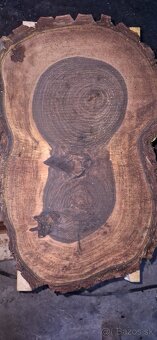 Orechové priečne rezy čerstvé - 4