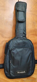 Celomasivna akustická gitara Cort Parkwood - 4
