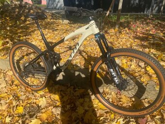 CTM SCROLL XPERT 29" 2023 - 4