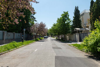 Priestor na prenájom | Rastislavova/Rázusova - 4