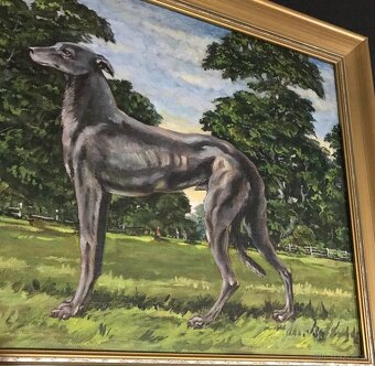 Wessel, maľovaný pes - 4